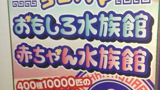 たくさん展示してる