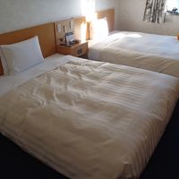 広くて清潔で素敵なベットです