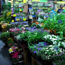 お花屋さん。切り花や植木鉢、そして種も売っています。