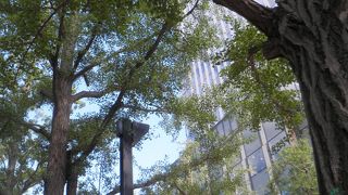 大きなビルが開業した