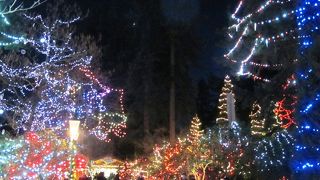 自然をテーマにした観光客向けテーマパーク、夏はアドベンチャー、冬はクリスマス・イルミネーションが楽しめます