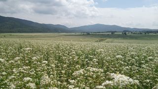 雄大なのに優しい景色