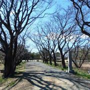 忍城に近い石田堤（いしだつつみ）史跡公園