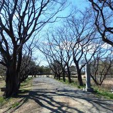 忍城に近い石田堤（いしだつつみ）史跡公園
