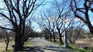 忍城に近い石田堤（いしだつつみ）史跡公園