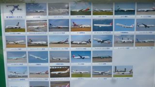 飛行機好きにはたまらない！