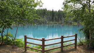 確かに青かった！