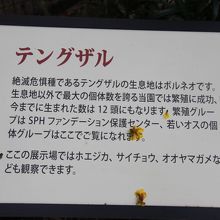 日本語の説明もあって分かり易い