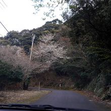 山道を登る