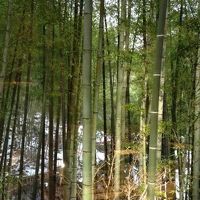 部屋からの画像