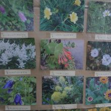 受付の前に見られる花々の写真があります。