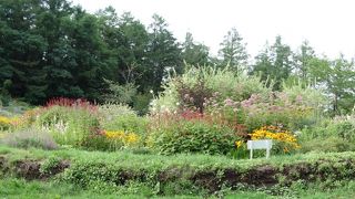 観光花畑よりも落ち着きのある草花のガーデンが心地よい　＠風のガーデン