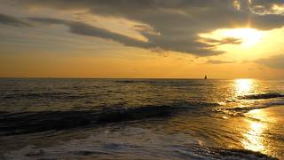 夕陽が綺麗です