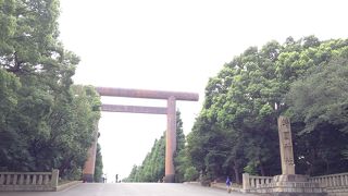 来られて良かった。