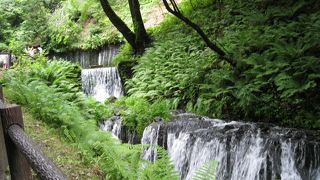 通行料を払わないと行けない観光スポット