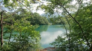 やっぱり美しかった！