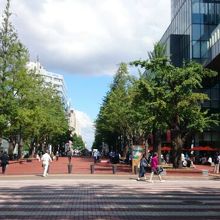 赤レンガテラス前