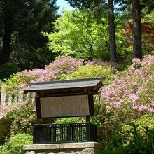 いつ訪れても花に囲まれている西念寺の境内は心が安らぐ