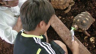 動物との触れ合いは多いのですが