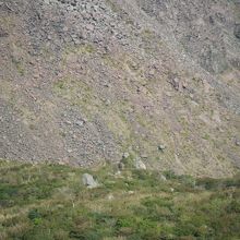 ハートの形をした石があります