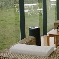 庭の眺めもなかなかです