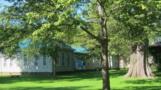 クラーク像まで来たついでに、見て雰囲気を楽しむ