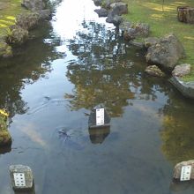 樺太を模った池の該当箇所には、都市名も表記されています