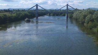 バードウォッチングに最適の河川です