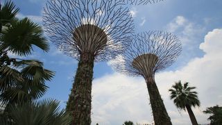 ドーム内は快適そのもの