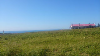 北のカナリアパーク