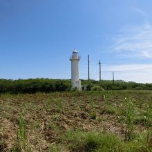 周りは畑が広がる。