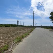 高さが電柱と大して変わらない。