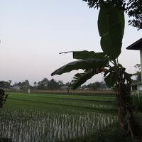 周囲には田んぼが広がってます。