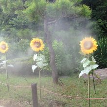 噴霧器かわいい