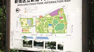 大きな公園です