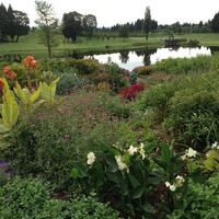 庭でサイクリング