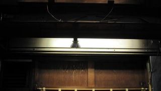 つけ麺だけでなくラーメンも美味しいです。