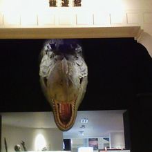 入るのがためらわれます〜〜