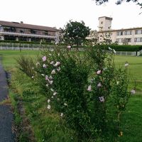 休暇村能登千里浜の敷地内