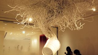 大人も楽しめる博物館