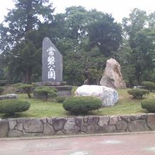 こちらのメイン入口向かって左手脇に楡の巨木があります