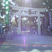 加藤清正を祀ってある神社です