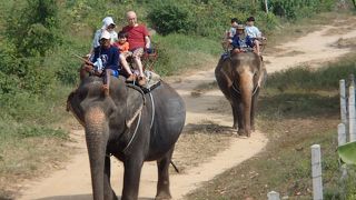 揺れるのでちょっと怖かったけど・・象乗りを満喫