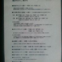 大浴場は入替制（時間制）でした。Ｐ５４０円だったような？