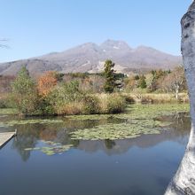 「いもり池」からの妙高山