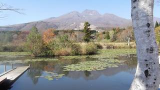 いもり池からの眺めがお勧めです