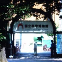 楽しかったです