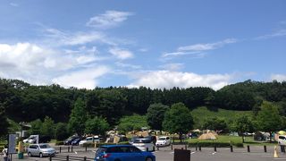 ランク高いキャンプ場ですね。