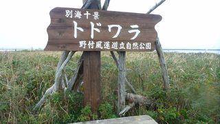 少し寒々しかった