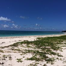 アイヤル浜、その?。